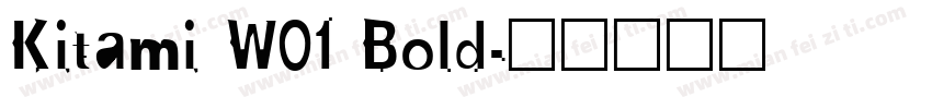 Kitami W01 Bold字体转换